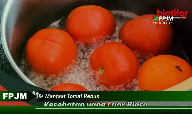 manfaat tomat rebus