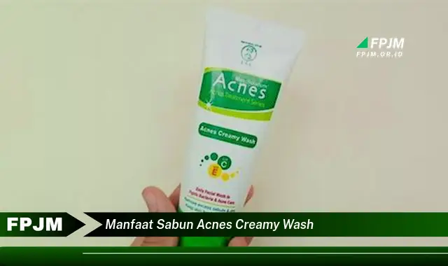 manfaat sabun acnes creamy wash