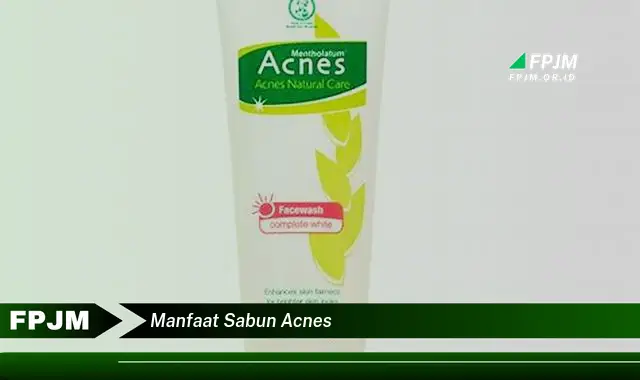 manfaat sabun acnes manfaat sabun acnes