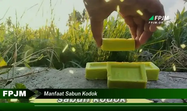 manfaat sabun kodok