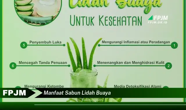 manfaat sabun lidah buaya