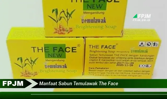 manfaat sabun temulawak the face