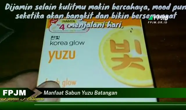 manfaat sabun yuzu batangan