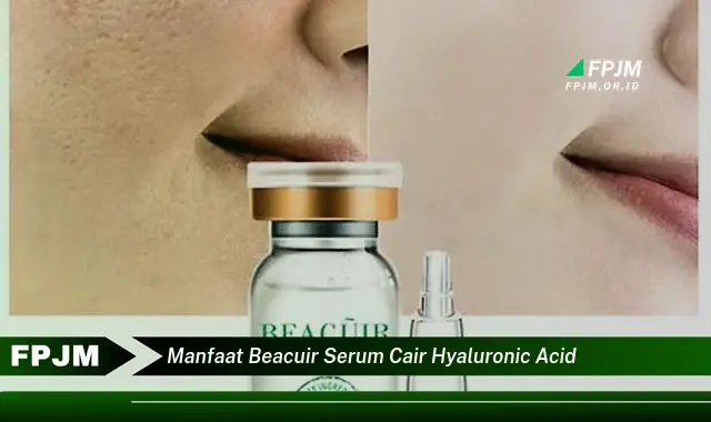 manfaat beacuir serum cair hyaluronic acid