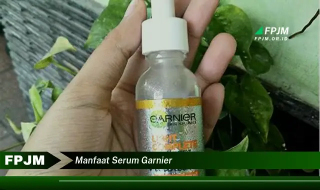 manfaat serum garnier