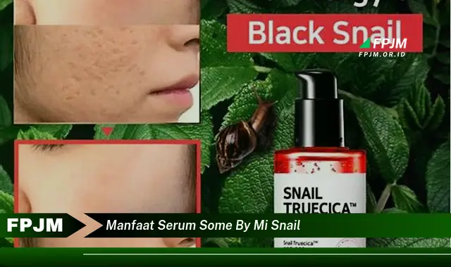 manfaat serum some by mi snail