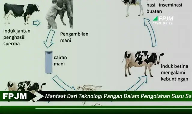 manfaat dari teknologi pangan dalam pengolahan susu sapi