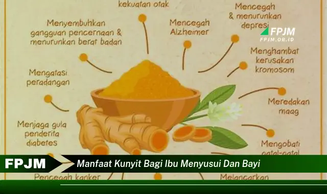 manfaat kunyit bagi ibu menyusui dan bayi