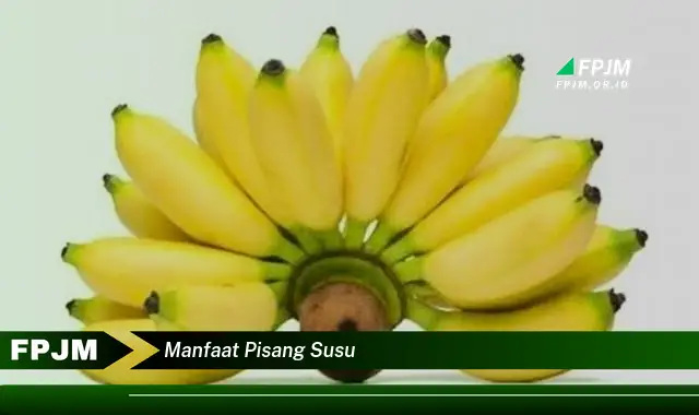 manfaat pisang susu