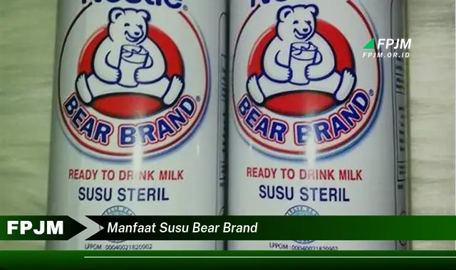 manfaat susu bear brand