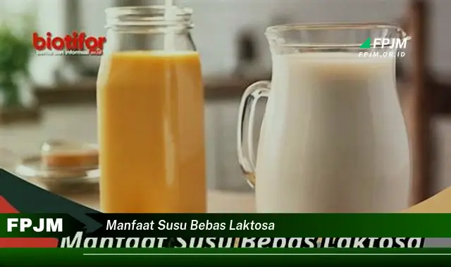 manfaat susu bebas laktosa