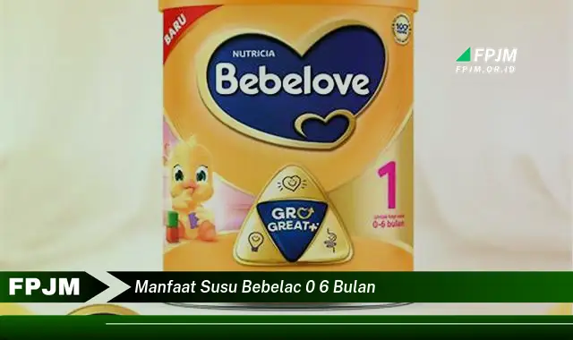 manfaat susu bebelac 0 6 bulan