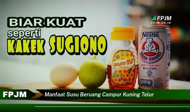 manfaat susu beruang campur kuning telur