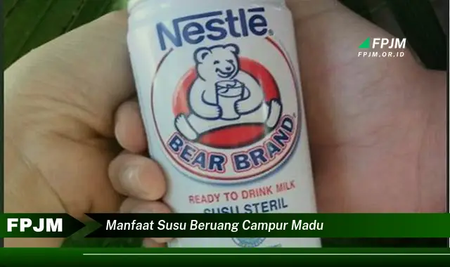 manfaat susu beruang campur madu