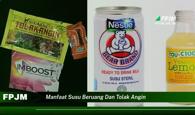 manfaat susu beruang dan tolak angin