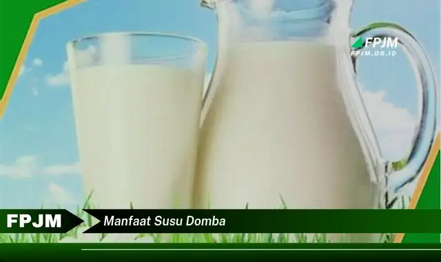 manfaat susu domba