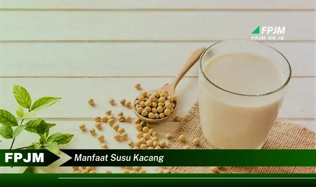 manfaat susu kacang manfaat susu kacang