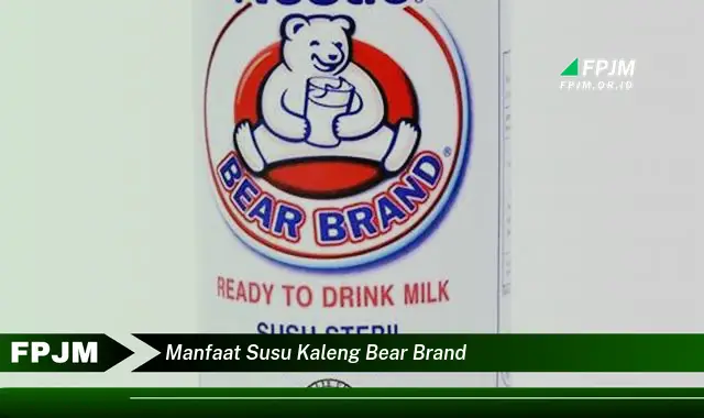 manfaat susu kaleng bear brand