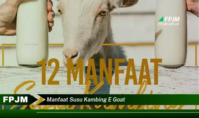 manfaat susu kambing e goat