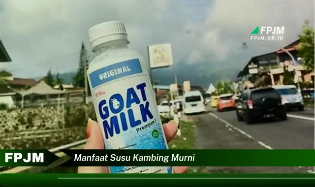 manfaat susu kambing murni