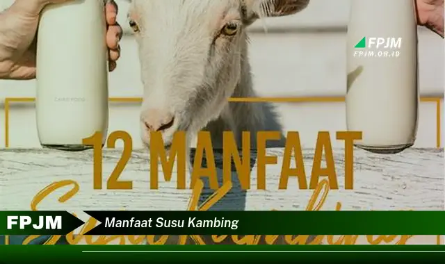 manfaat susu kambing