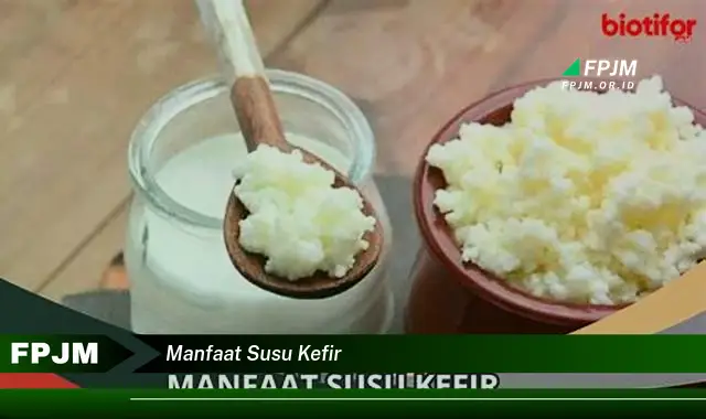 manfaat susu kefir