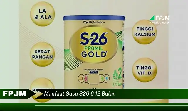 manfaat susu s26 6 12 bulan