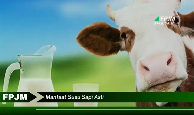 manfaat susu sapi asli