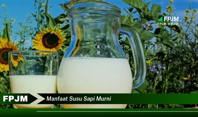 manfaat susu sapi murni