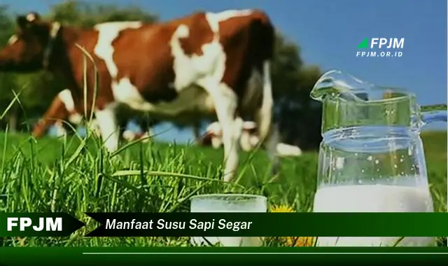 manfaat susu sapi segar