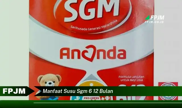 manfaat susu sgm 6 12 bulan