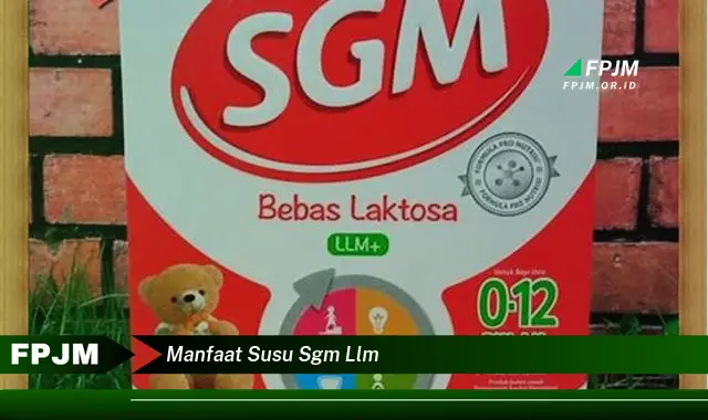 manfaat susu sgm llm