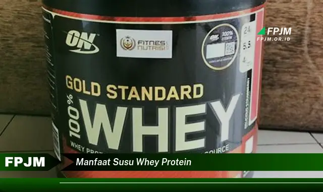 manfaat susu whey protein