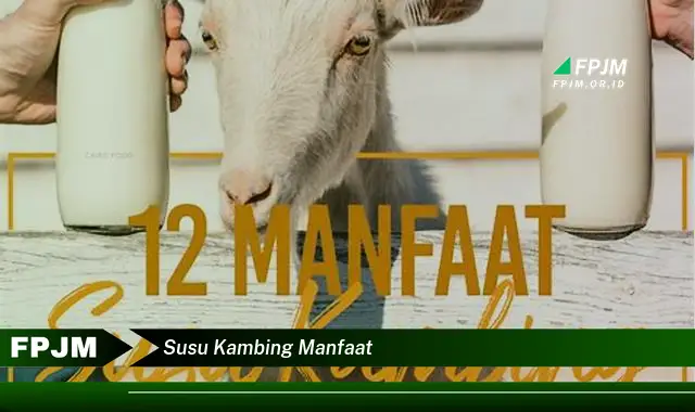 susu kambing manfaat