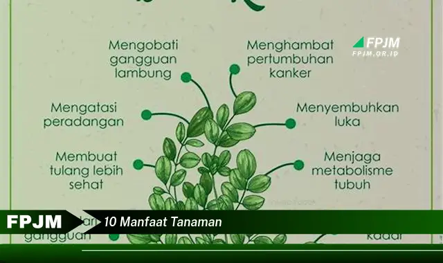 10 manfaat tanaman