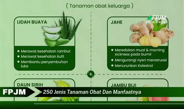 250 jenis tanaman obat dan manfaatnya