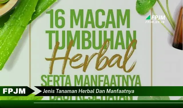 jenis tanaman herbal dan manfaatnya