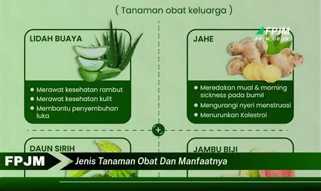 jenis tanaman obat dan manfaatnya jenis tanaman obat dan manfaatnya