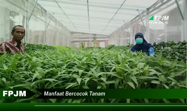 manfaat bercocok tanam