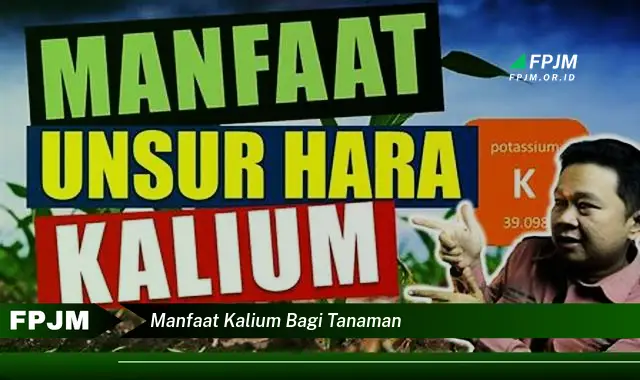 manfaat kalium bagi tanaman