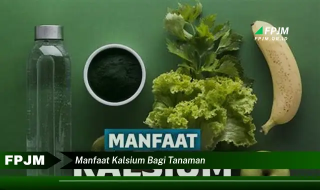 manfaat kalsium bagi tanaman