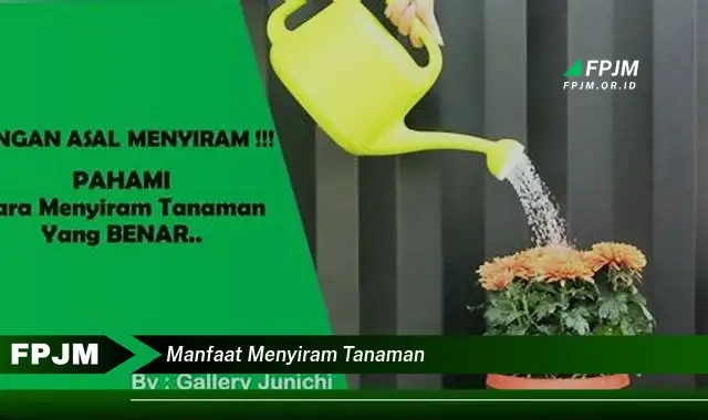 manfaat menyiram tanaman