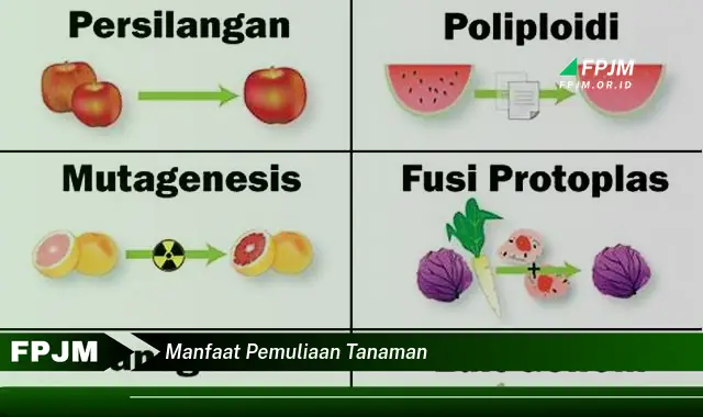 manfaat pemuliaan tanaman