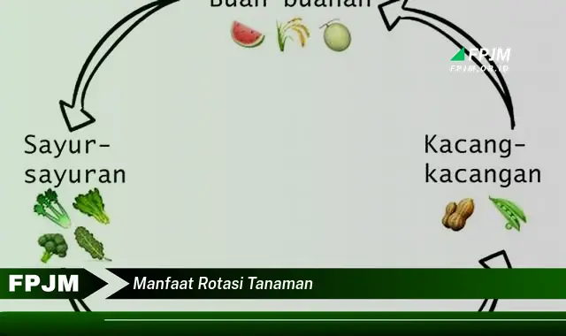 manfaat rotasi tanaman