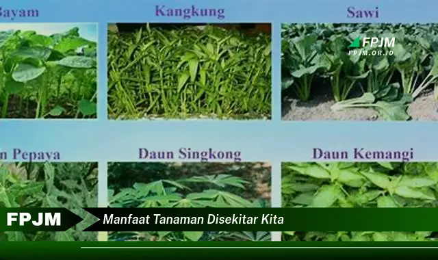 manfaat tanaman disekitar kita