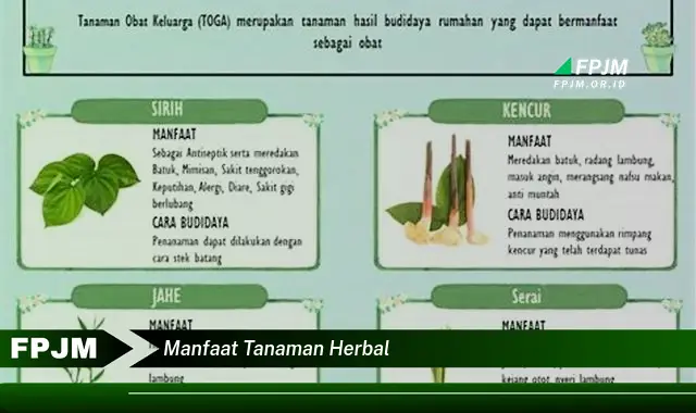 manfaat tanaman herbal manfaat tanaman herbal