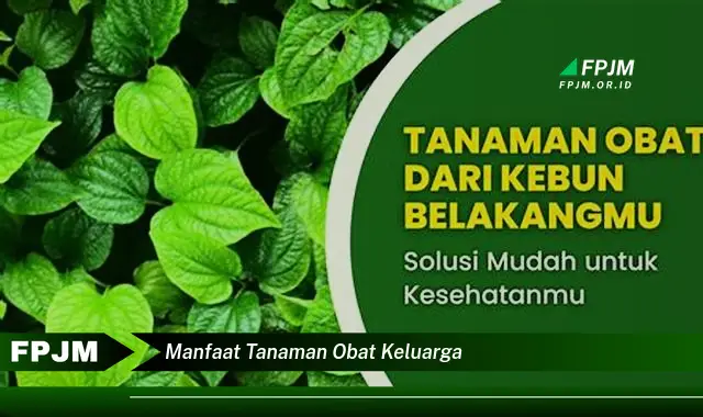 manfaat tanaman obat keluarga manfaat tanaman obat keluarga