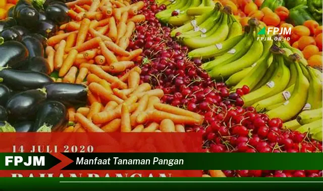 manfaat tanaman pangan