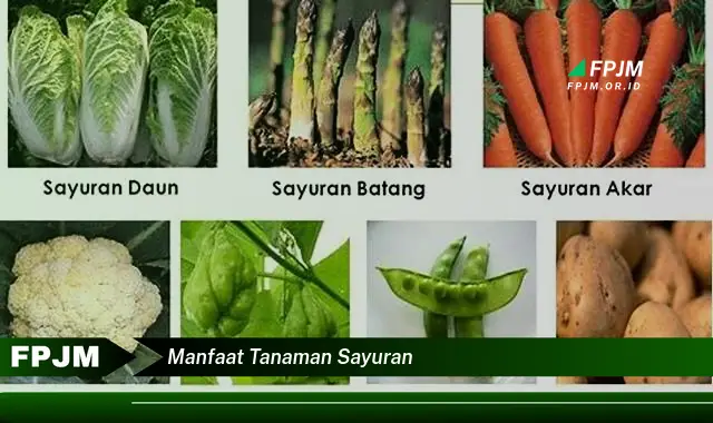 manfaat tanaman sayuran