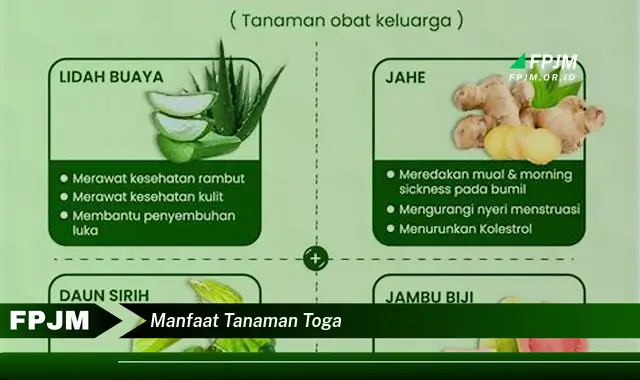 manfaat tanaman toga